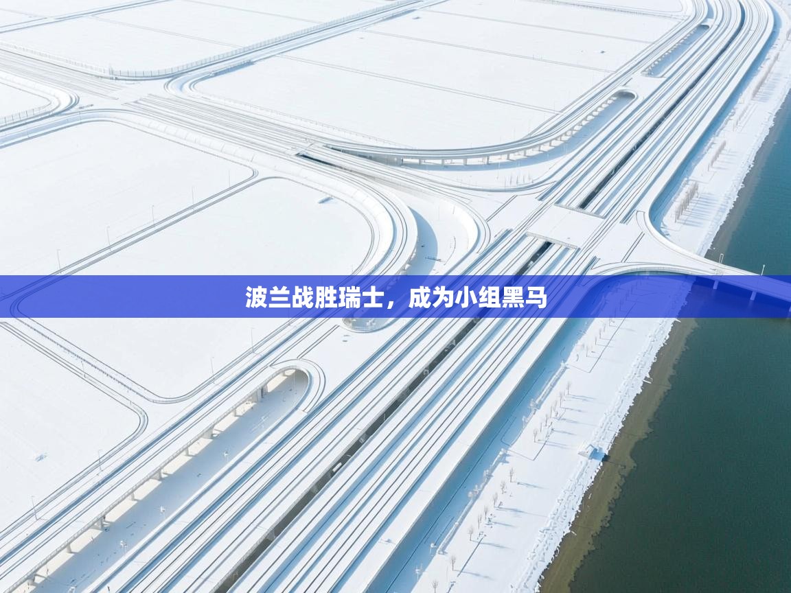 波兰战胜瑞士，成为小组黑马