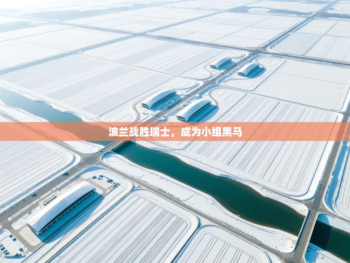 波兰战胜瑞士,成为小组黑马 第2张