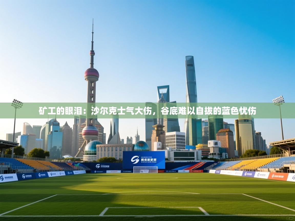 矿工的眼泪:沙尔克士气大伤,谷底难以自拔的蓝色忧伤 第2张