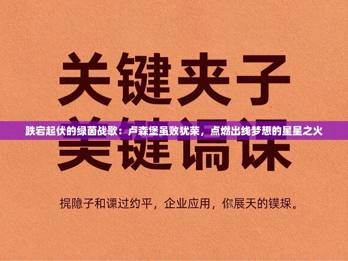 跌宕起伏的绿茵战歌：卢森堡虽败犹荣，点燃出线梦想的星星之火  第1张